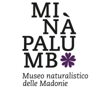 logo-museo-mp23